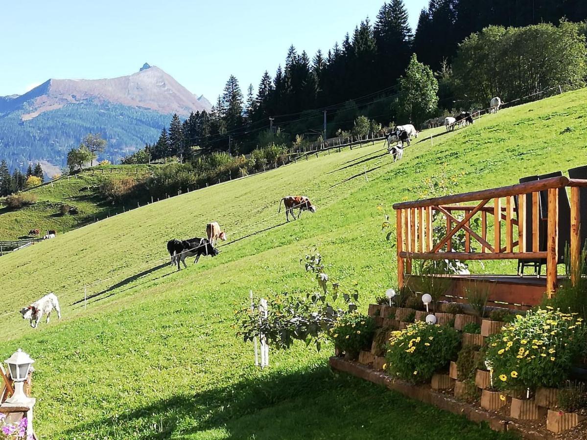 Urlaub Am Krausberghof, Apartment Mit Balkon Und Parkplatz, Inmitten Der Natur, Sauna Und Infrarotkabine, Kostenfreie Kaffeekapseln, 6 Fahrminuten Zur Alpentherme Gastein Und Zur Schlossalmbahn, Spielplatz 배드호프가스타인 외부 사진