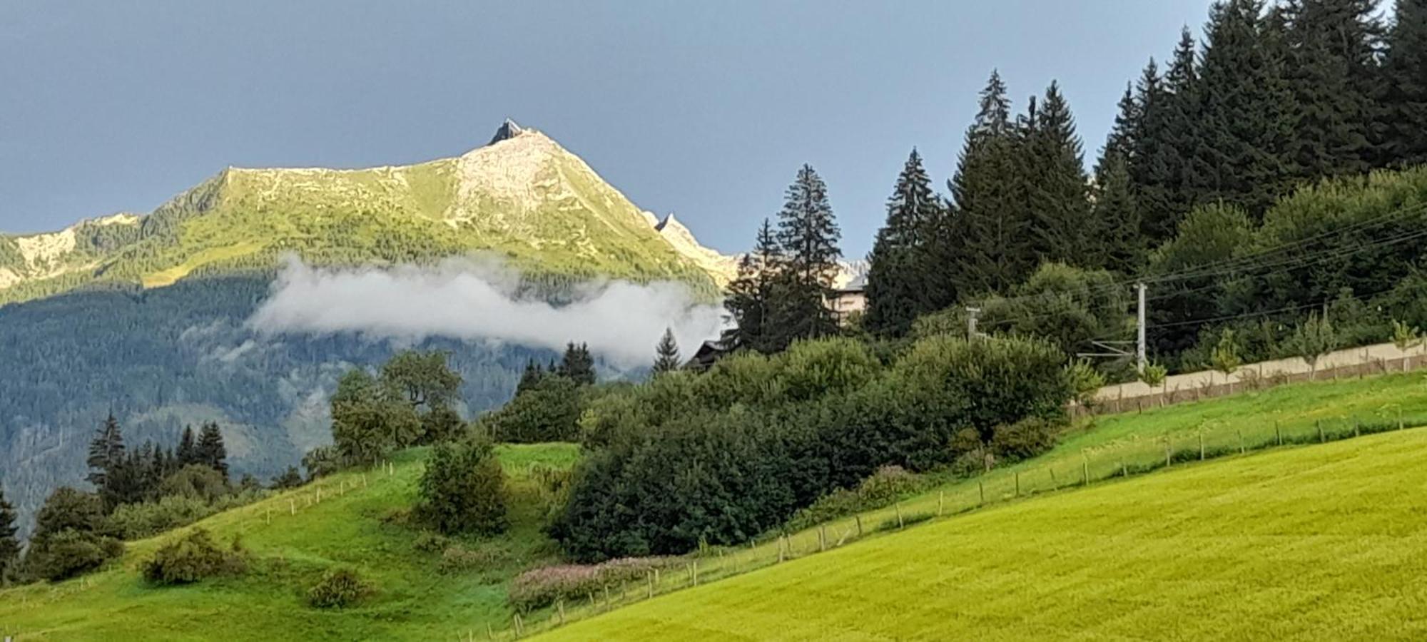 Urlaub Am Krausberghof, Apartment Mit Balkon Und Parkplatz, Inmitten Der Natur, Sauna Und Infrarotkabine, Kostenfreie Kaffeekapseln, 6 Fahrminuten Zur Alpentherme Gastein Und Zur Schlossalmbahn, Spielplatz 배드호프가스타인 외부 사진