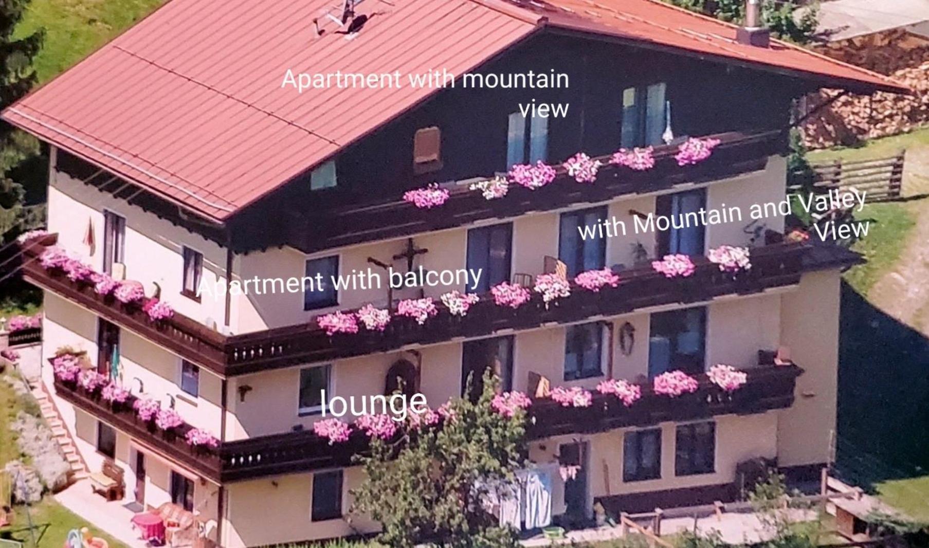 Urlaub Am Krausberghof, Apartment Mit Balkon Und Parkplatz, Inmitten Der Natur, Sauna Und Infrarotkabine, Kostenfreie Kaffeekapseln, 6 Fahrminuten Zur Alpentherme Gastein Und Zur Schlossalmbahn, Spielplatz 배드호프가스타인 외부 사진