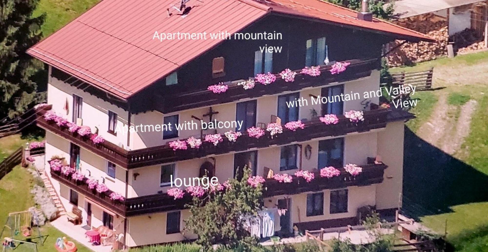 Urlaub Am Krausberghof, Apartment Mit Balkon Und Parkplatz, Inmitten Der Natur, Sauna Und Infrarotkabine, Kostenfreie Kaffeekapseln, 6 Fahrminuten Zur Alpentherme Gastein Und Zur Schlossalmbahn, Spielplatz 배드호프가스타인 외부 사진